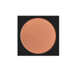 خرید رژگونه لاکچری کوین شماره 413 دکتر بیز | قیمت و مشخصات Luxury Coin Blush 413