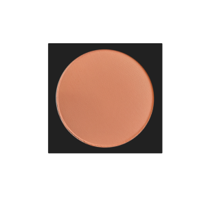 خرید رژگونه لاکچری کوین شماره 413 دکتر بیز | قیمت و مشخصات Luxury Coin Blush 413
