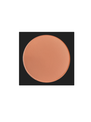 خرید رژگونه لاکچری کوین شماره 413 دکتر بیز | قیمت و مشخصات Luxury Coin Blush 413