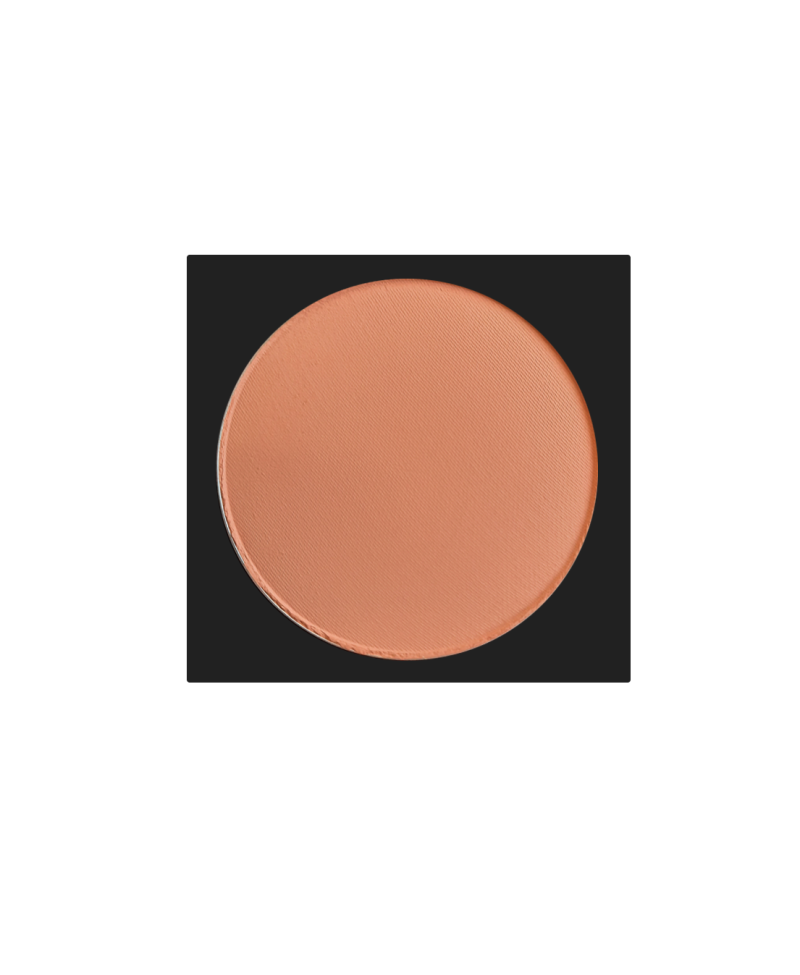 خرید رژگونه لاکچری کوین شماره 413 دکتر بیز | قیمت و مشخصات Luxury Coin Blush 413